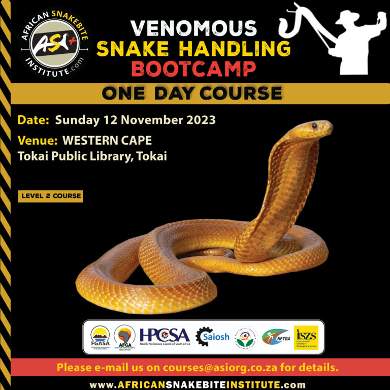 VenomousSnake Handling Bootcamp (Tokai Western Cape) 20231112
