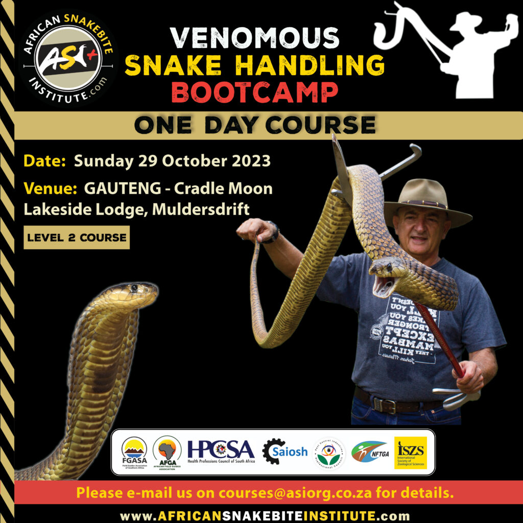 Venomous Snake Handling Bootcamp (Gauteng) 20231029