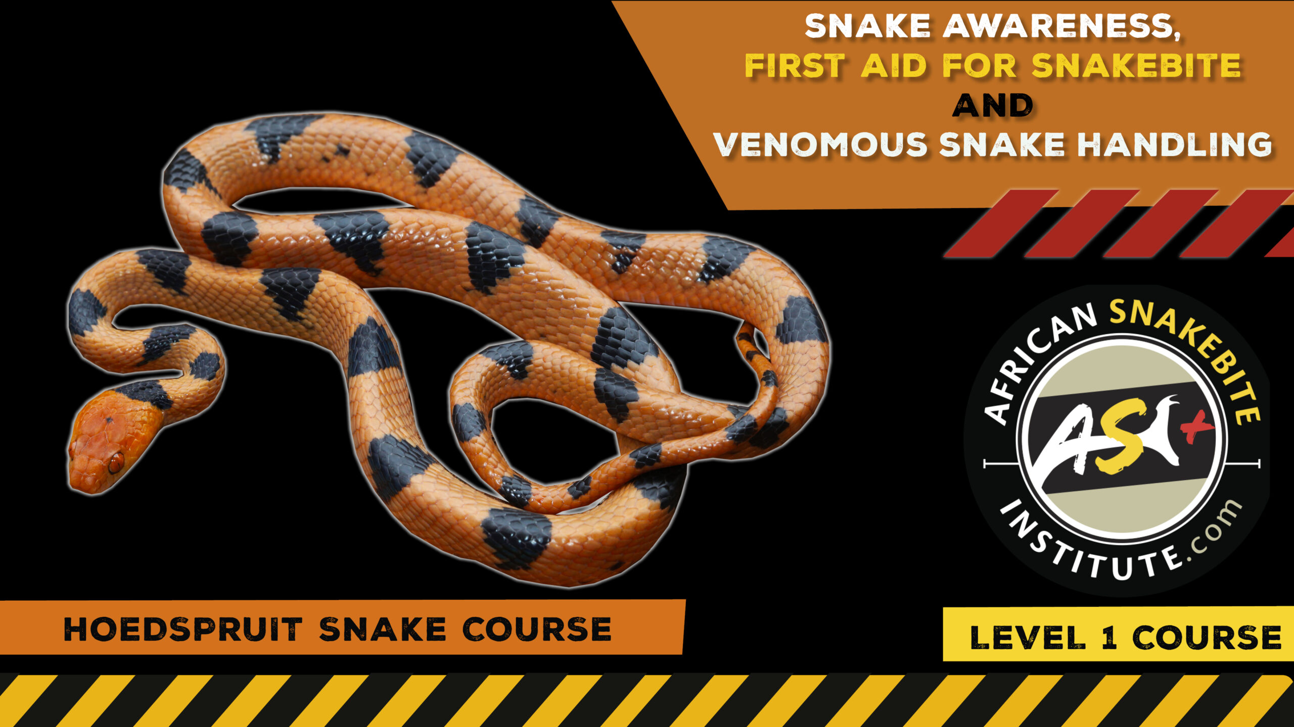 Snake Awareness & Venomous Snake Handling (Hoedspruit) 20231104