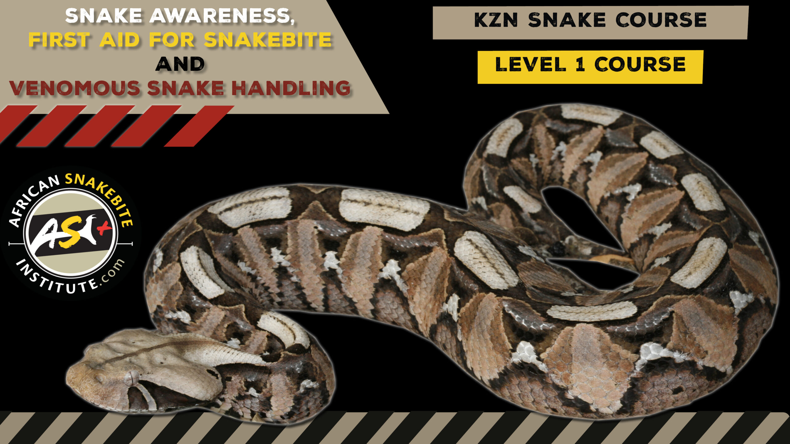 Snake Awareness & Venomous Snake Handling (KZN) 202340127