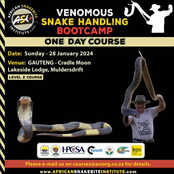 Venomous Snake Handling Bootcamp (Gauteng) 202340128