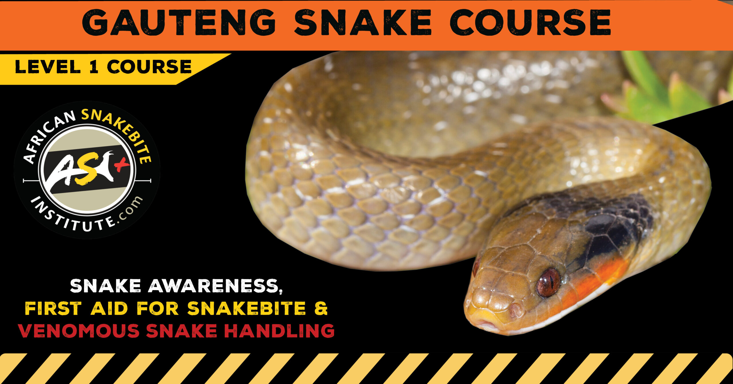 Snake Awareness & Venomous Snake Handling (Gauteng) 20240224