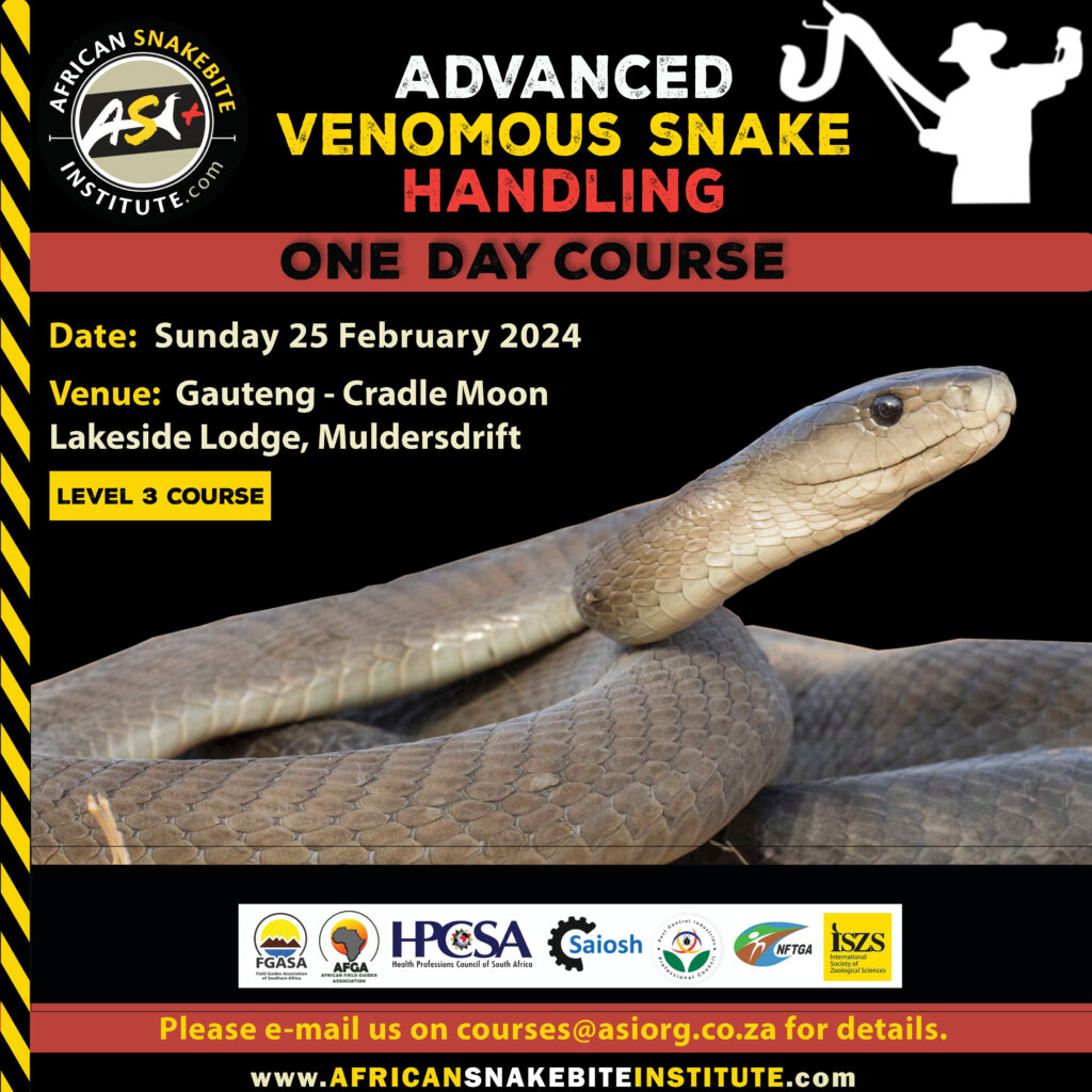 Advanced Venomous Snake Handling (Gauteng) 20240225