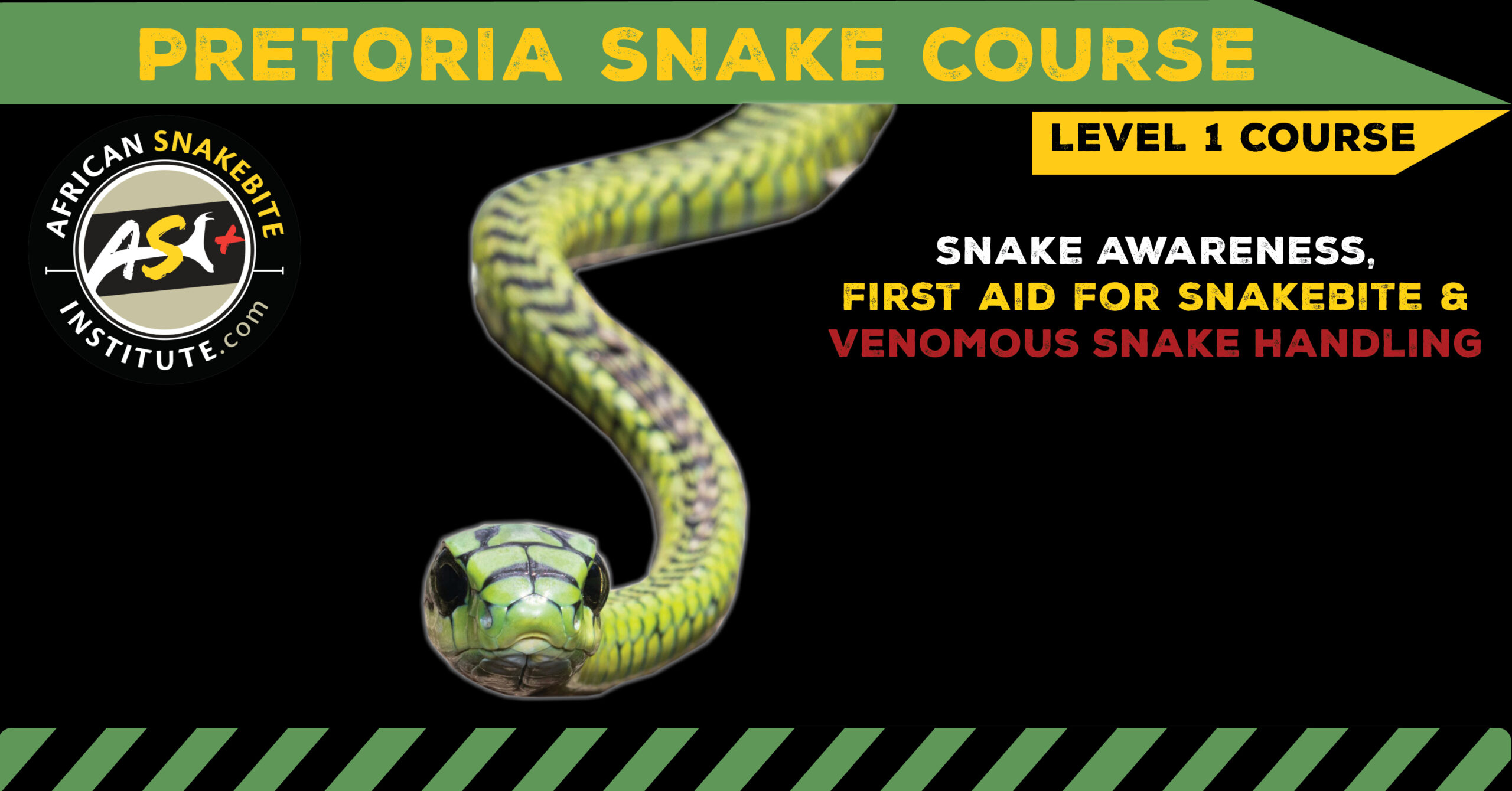 Snake Awareness & Venomous Snake Handling (Gauteng Pretoria) 20240316
