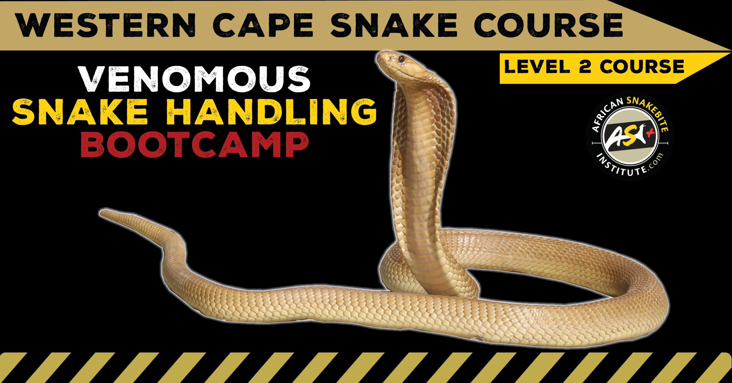 VenomousSnake Handling Bootcamp (Western Cape) 20240317