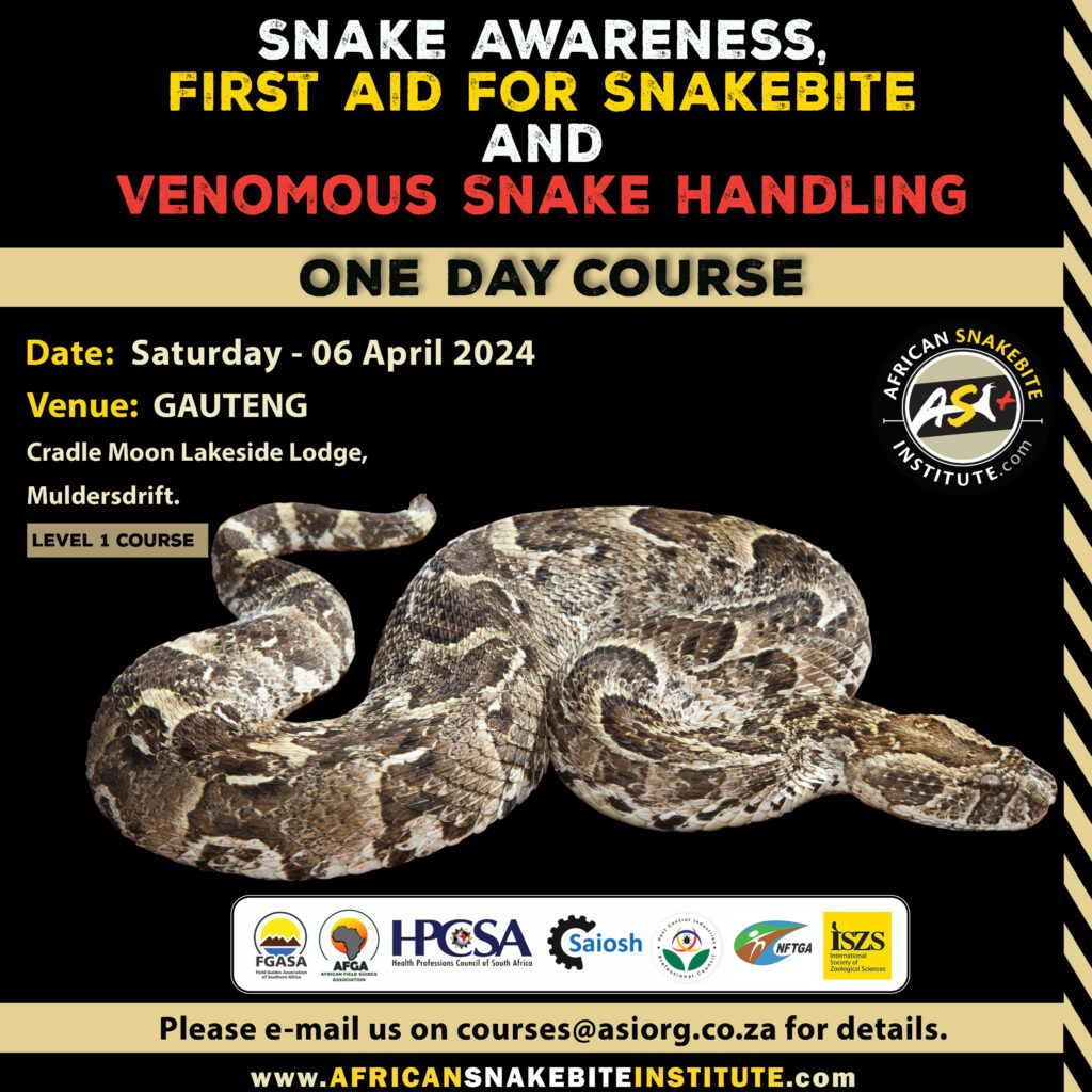 Snake Awareness & Venomous Snake Handling (Gauteng) 20240406