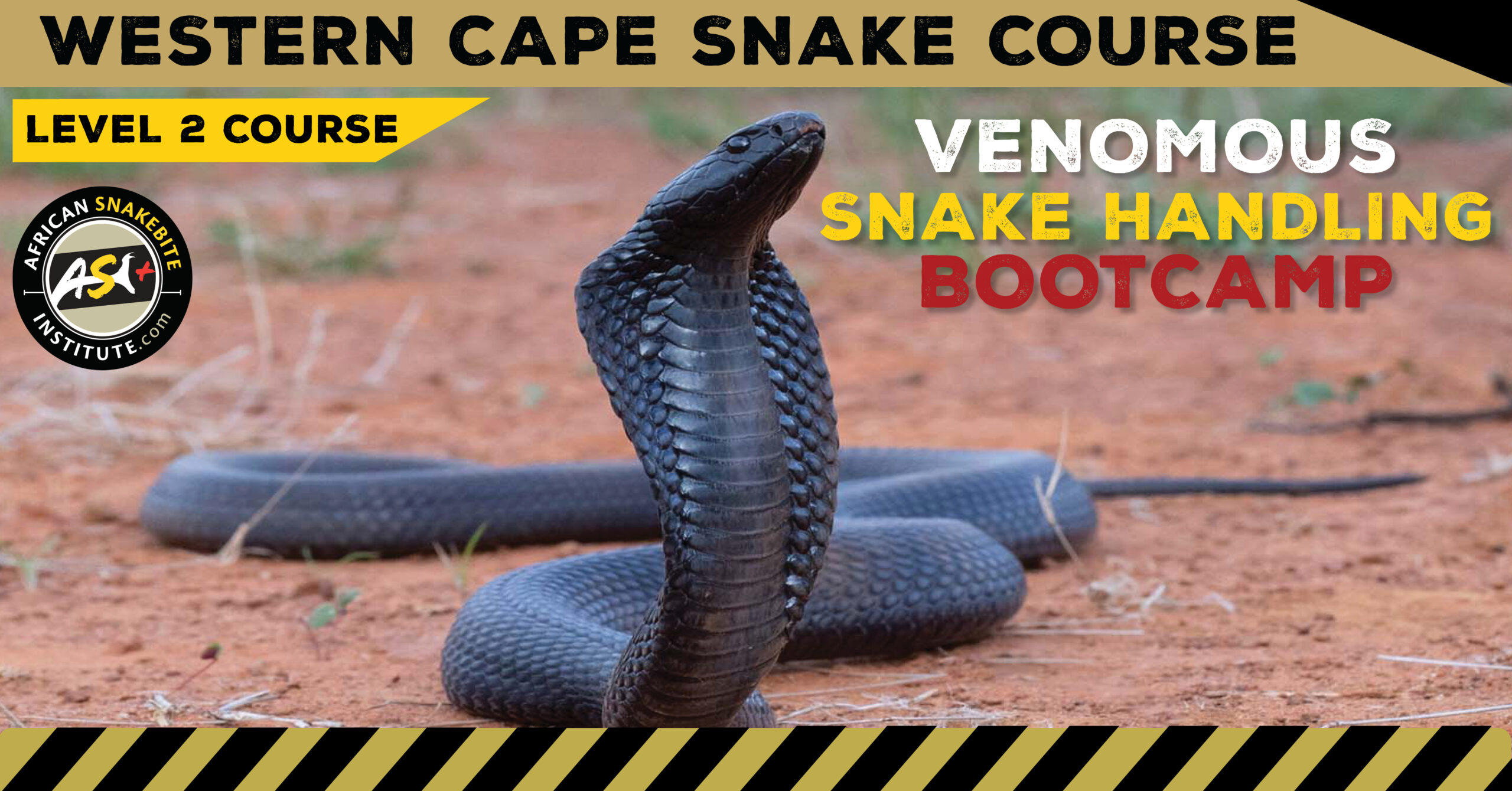 VenomousSnake Handling Bootcamp (Western Cape) 20240414