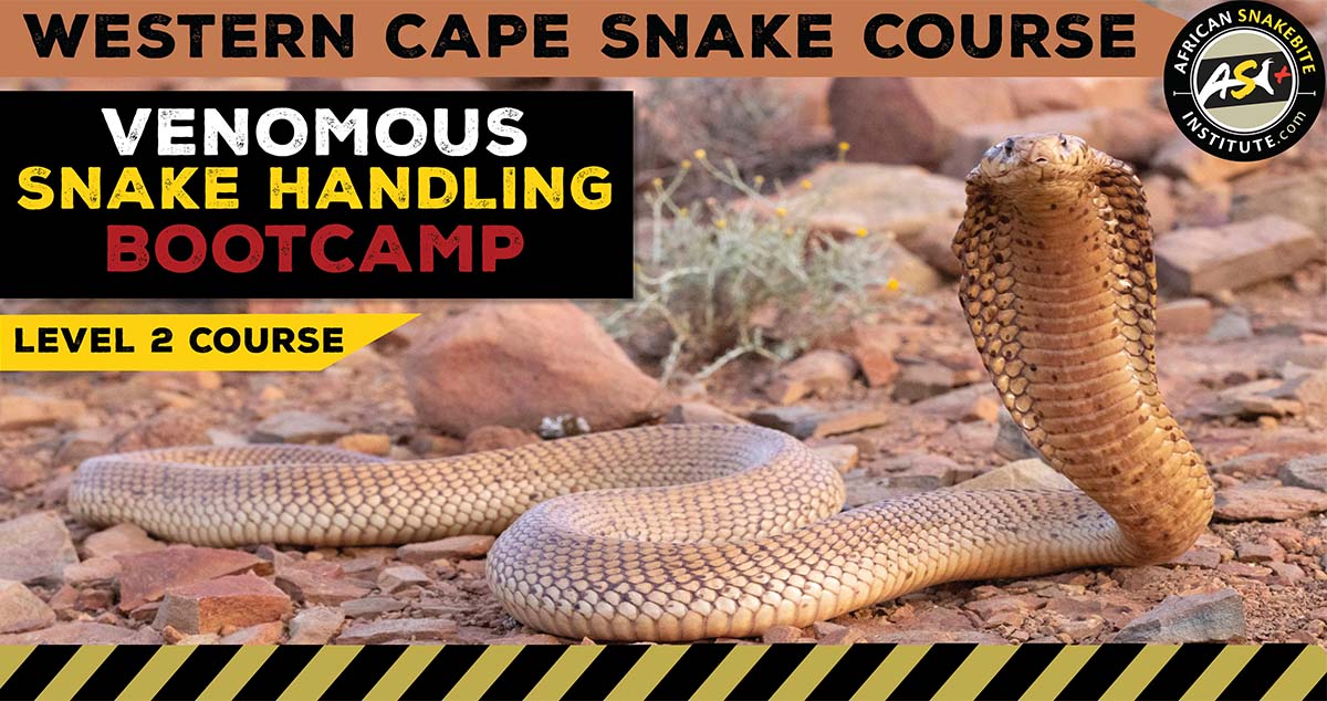 VenomousSnake Handling Bootcamp (Western Cape) 20240721